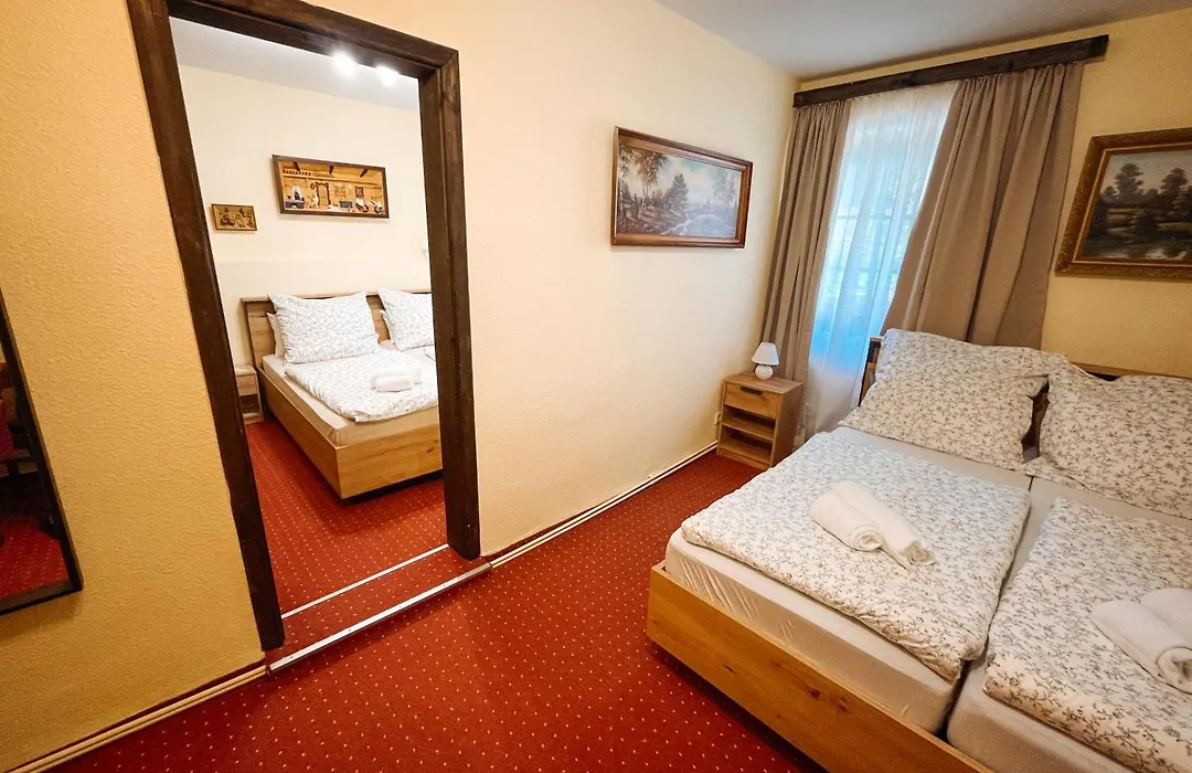 Pension Zum Erzgebirge-1