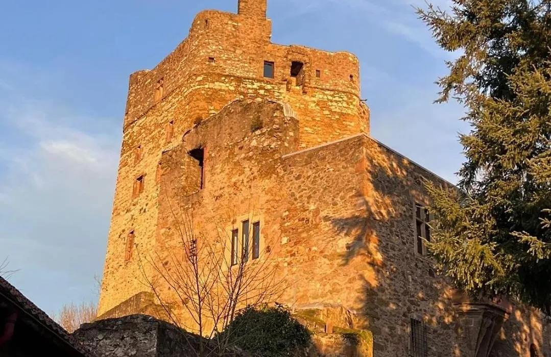 Burg Hermannstein - Rittersaal-1