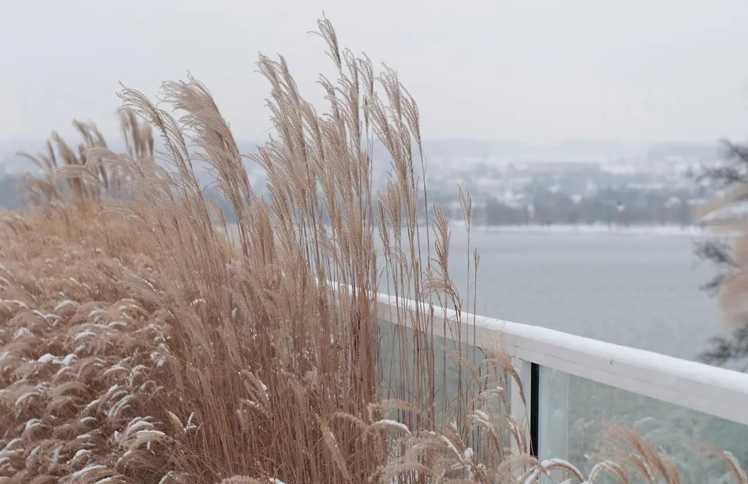 RIVA - Das Hotel am Bodensee-1