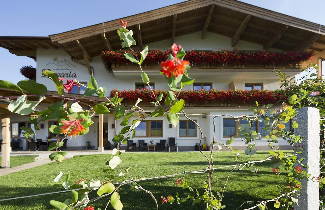 Hotel Garni Bavaria-1