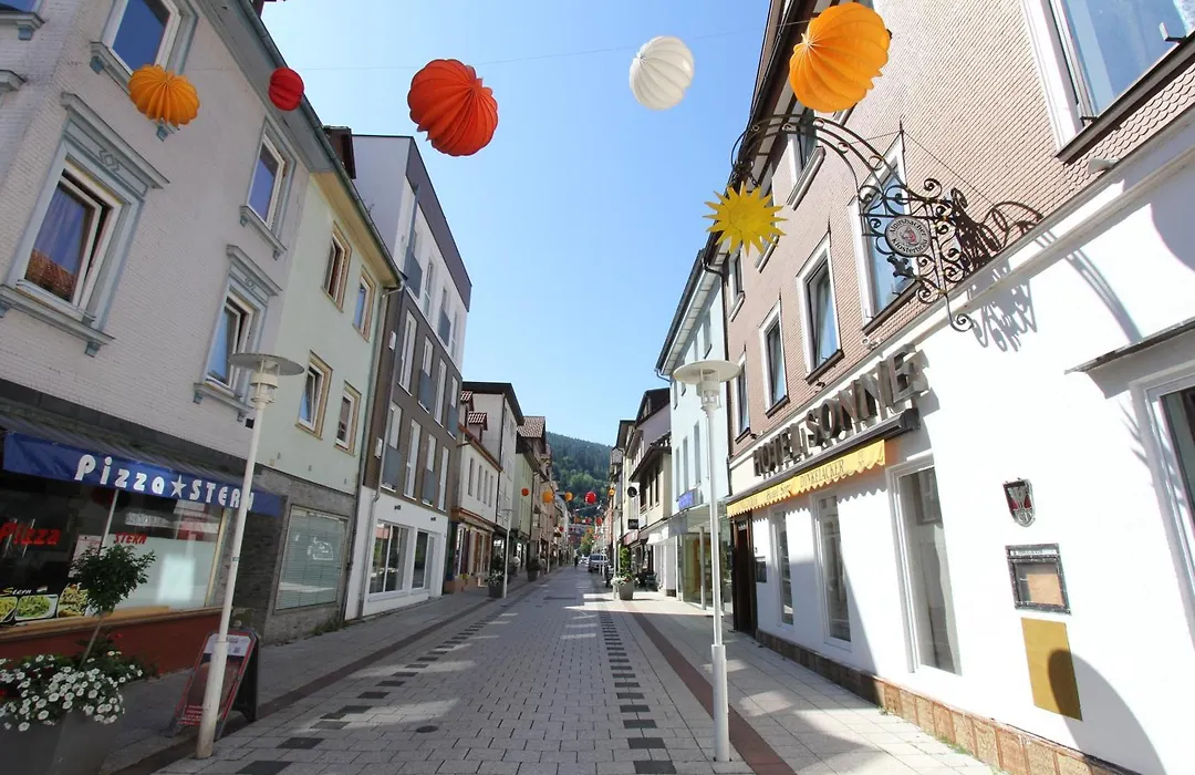 Alcor Hotel Sonne Bad Wildbad-1