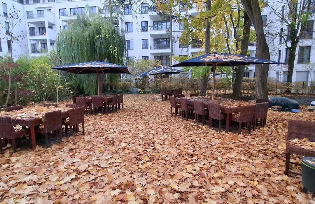 King David Garden-1