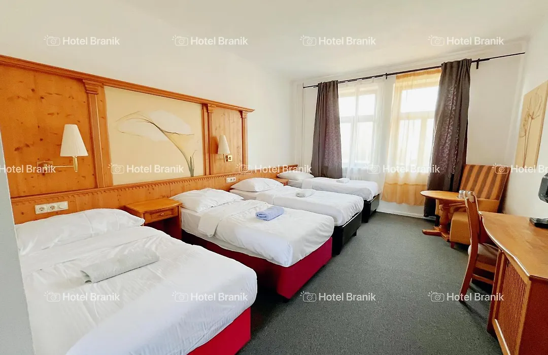 Hotel Branik-1