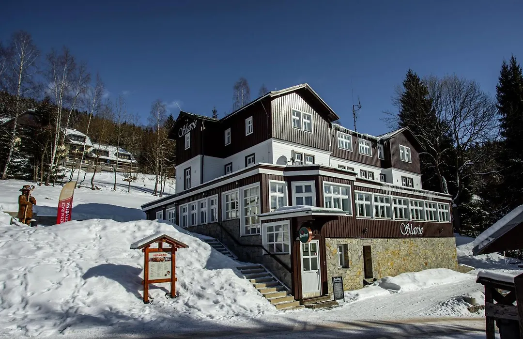 Hotel Slavie-1