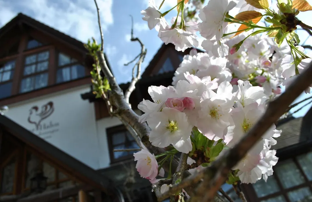 B&B Apart Hotel Goldener Hahn - Hygge Pool&Sauna-1