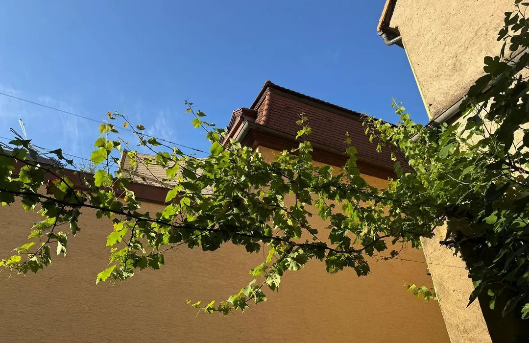 Hotel Neuhauser-1