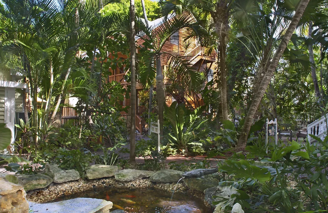 Island City House-1
