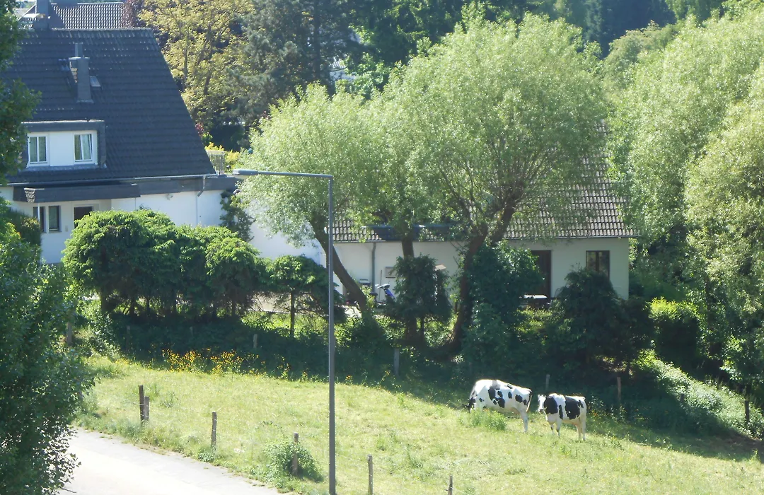 Hotel Buschhausen-1