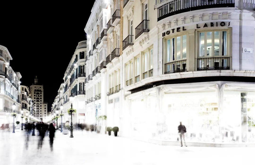 Hotel Larios Malaga-1