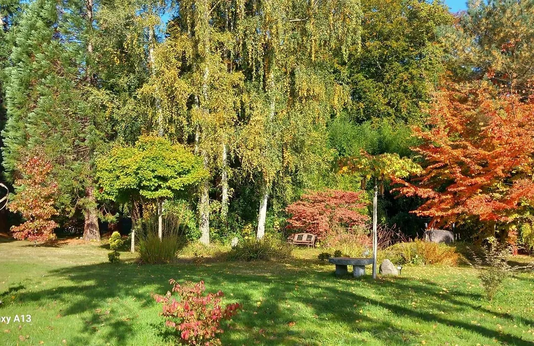Ostsee-Pension An der Lindenallee-1