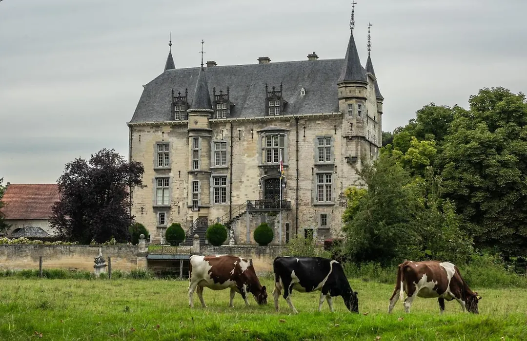 Villa Valkenburg-1