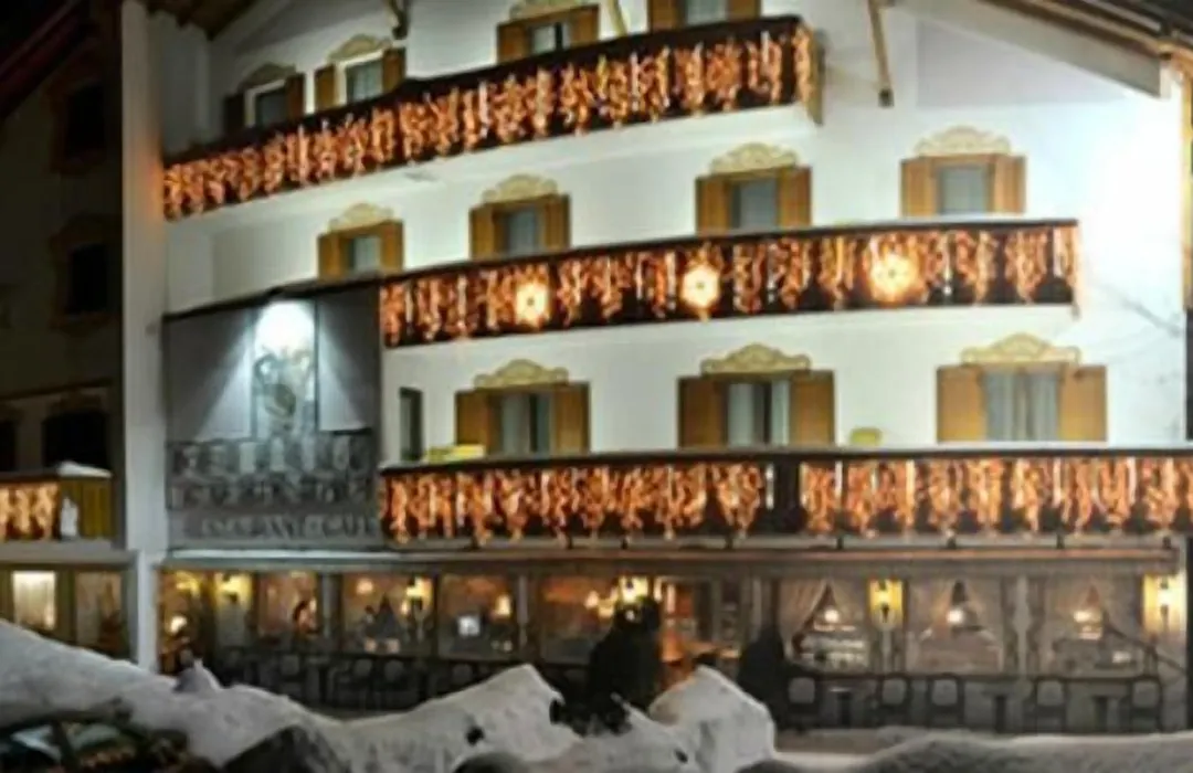 Hotel Tschurtschenthaler-1