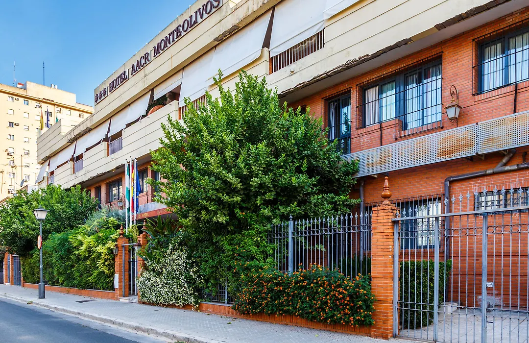 Aacr Hotel Monteolivos-1