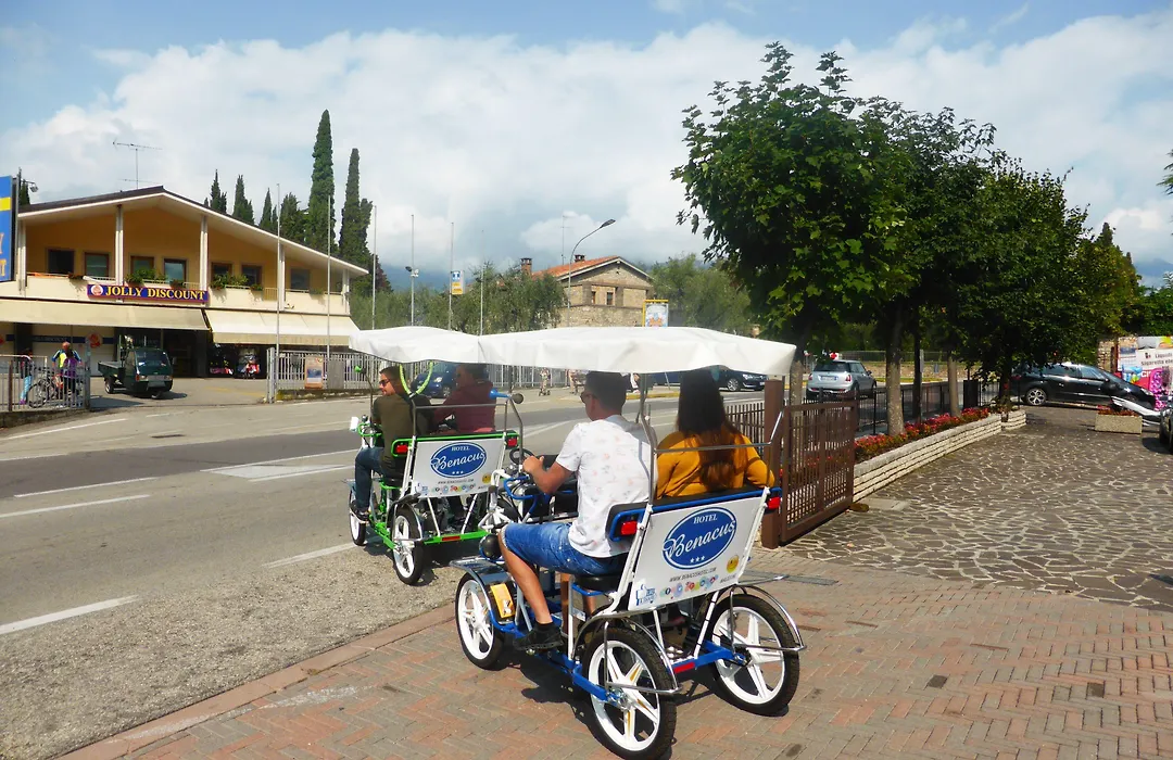 Eco Hotel Benacus-1