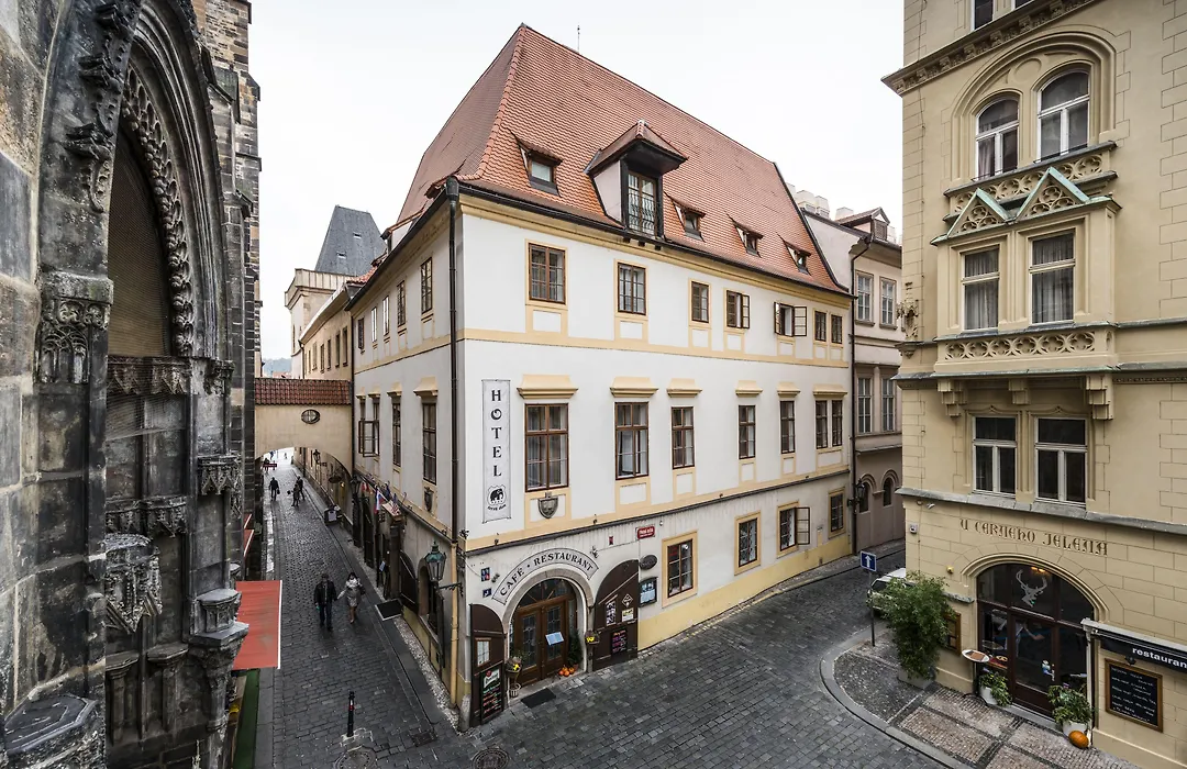 Hotel Cerny Slon-1