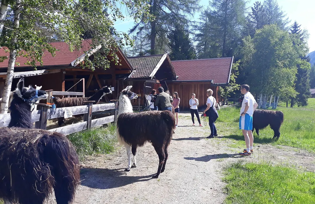 Landhaus Charlotte Apartments Tirol-1