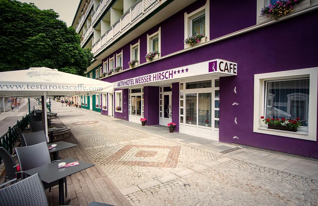 AKTIVHOTEL Weisser Hirsch-1