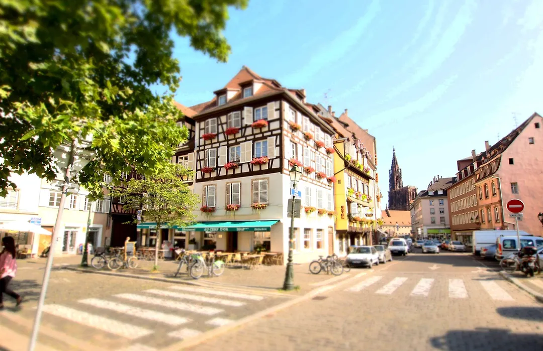 Logis Hôtel Restaurant Au Cerf d'Or-1