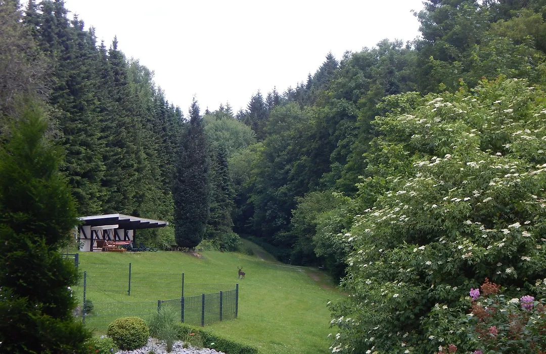 Hotel&Gasthof Hubertushöhe - Ihr Hotel für Urlaub mit Hund-1