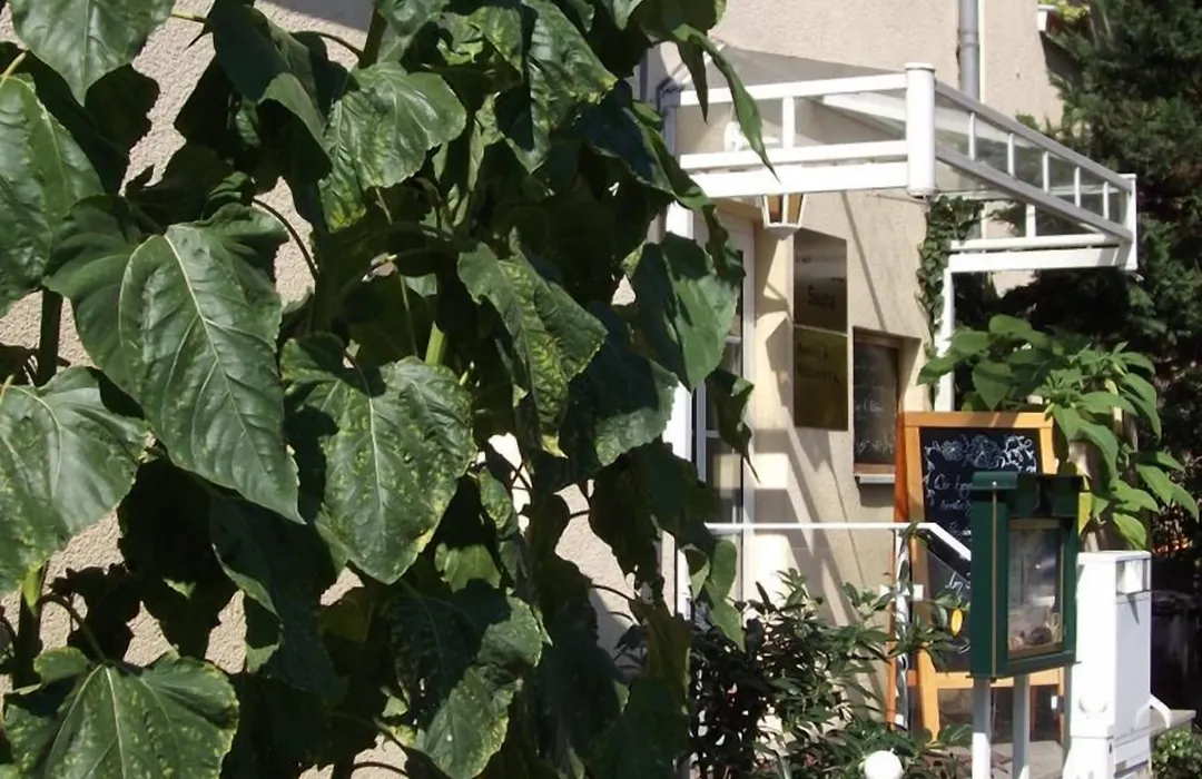 Pension&Café Am Krähenberg-1