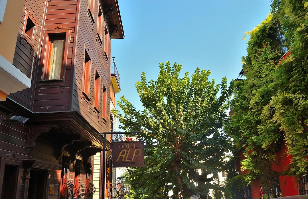 Hotel Alp Guesthouse-1