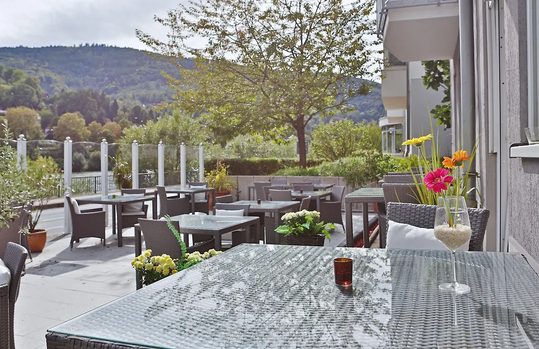 Hotel Neckarlux-1