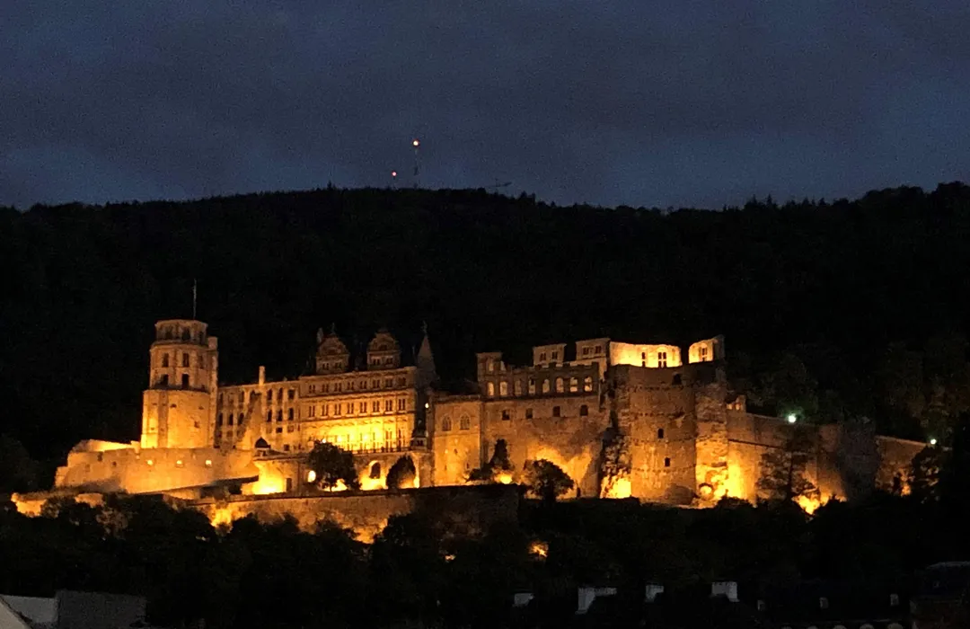 Boardinghotel Heidelberg-1