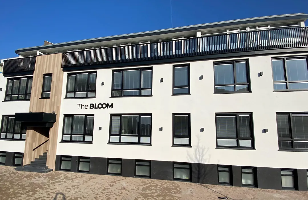 The Bloom-1