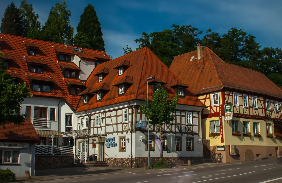 Hotel Baer-1
