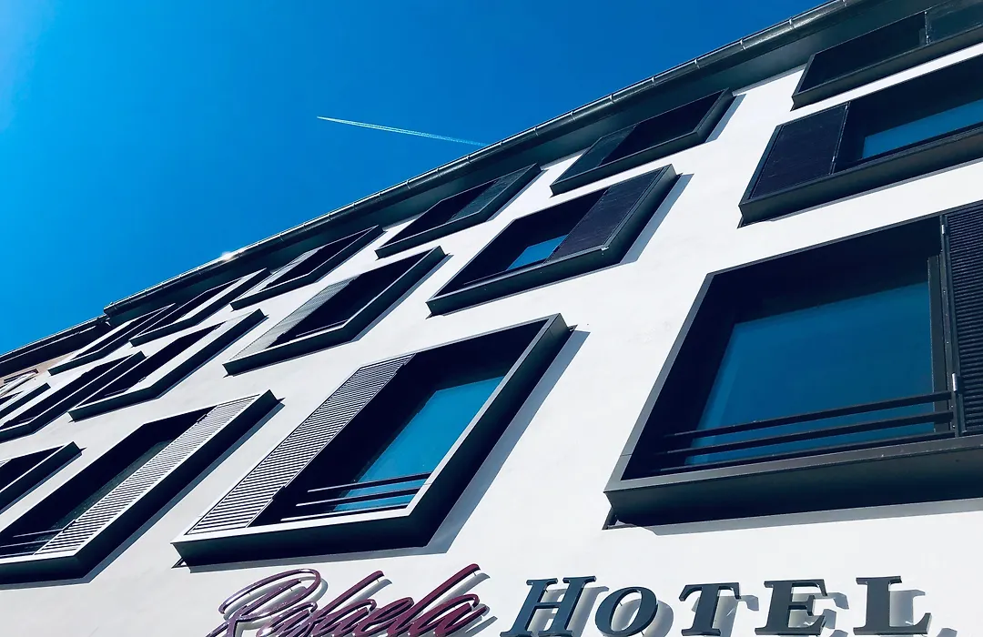 Rafaela Hotel Heidelberg-1
