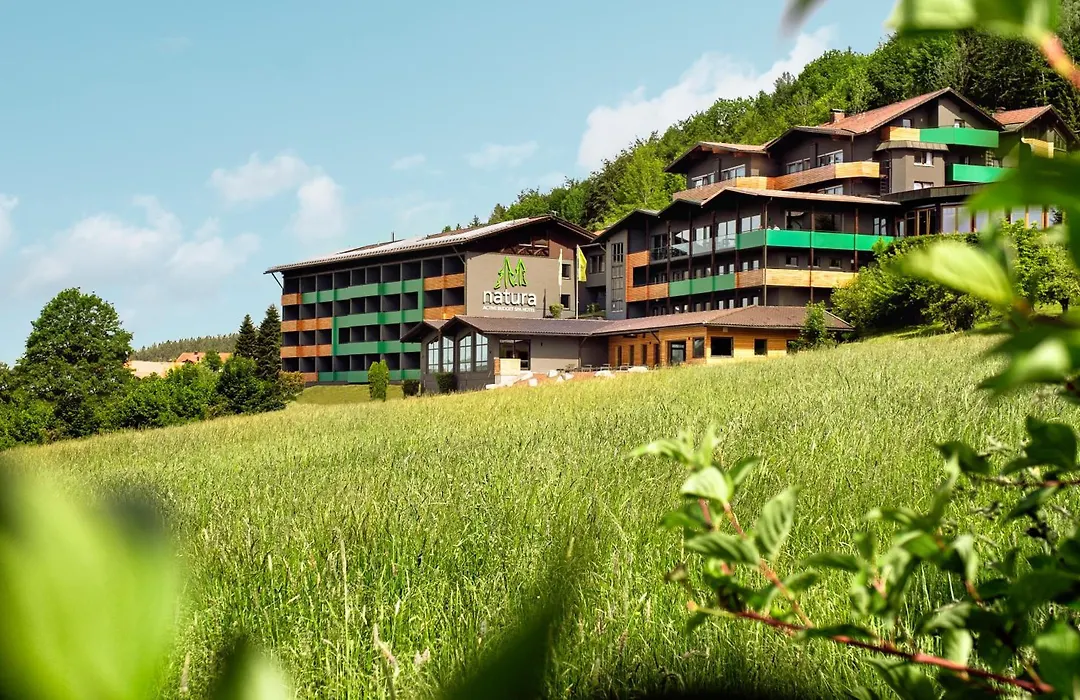Natura Hotel Bodenmais - inkl Soft- und Heißgetränkeflat-1