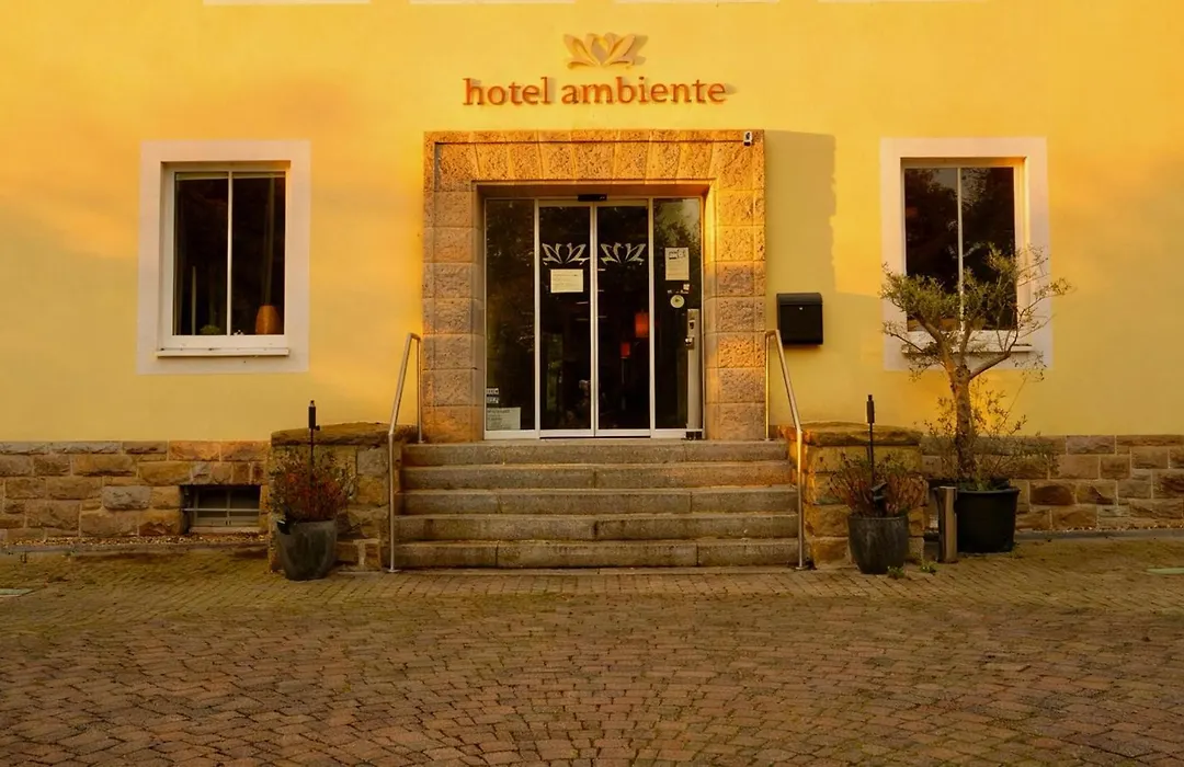 Hotel Ambiente-1