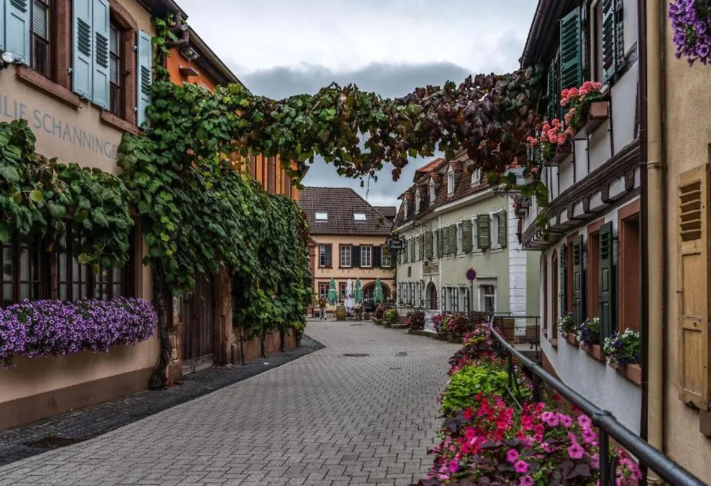 Hotel Dalberg-1
