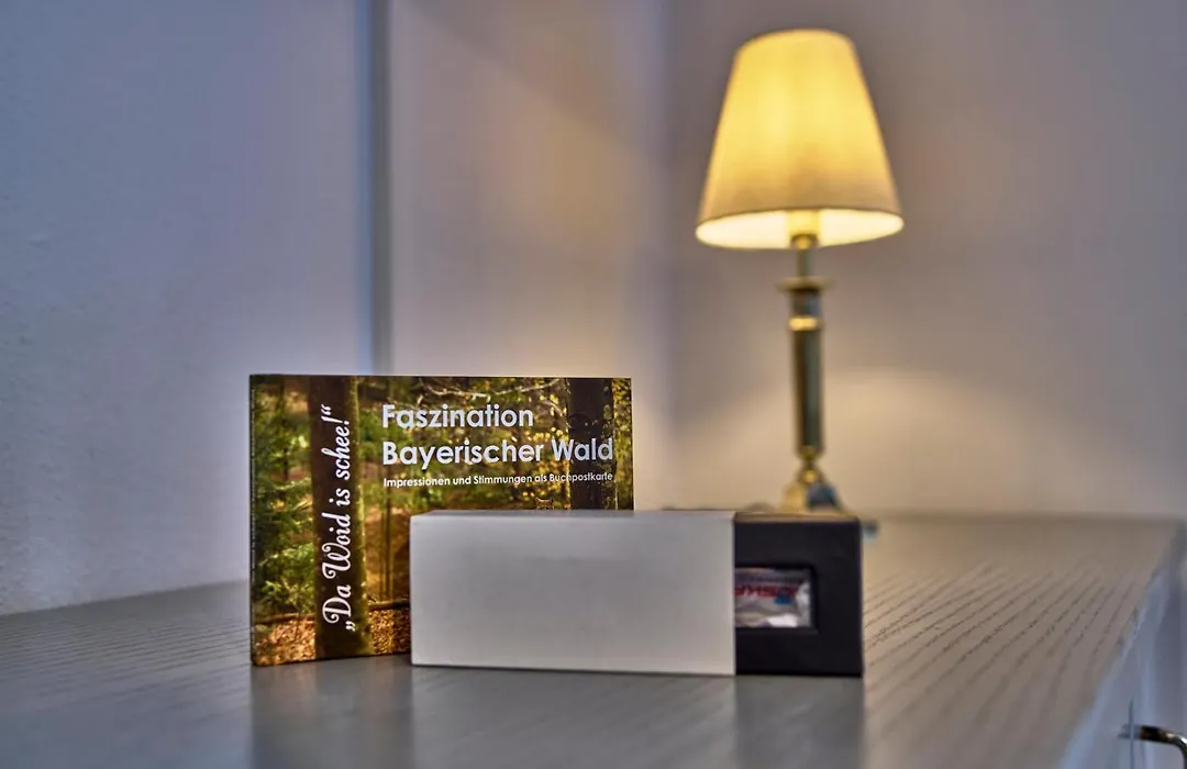 Das Arber-Hotel am Rothbach-1
