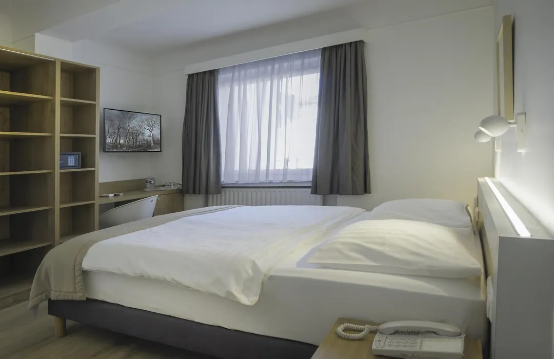 Hotel Francais-1