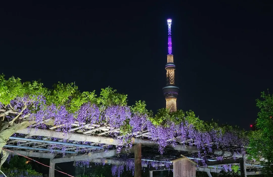 The Westin Tokyo-1