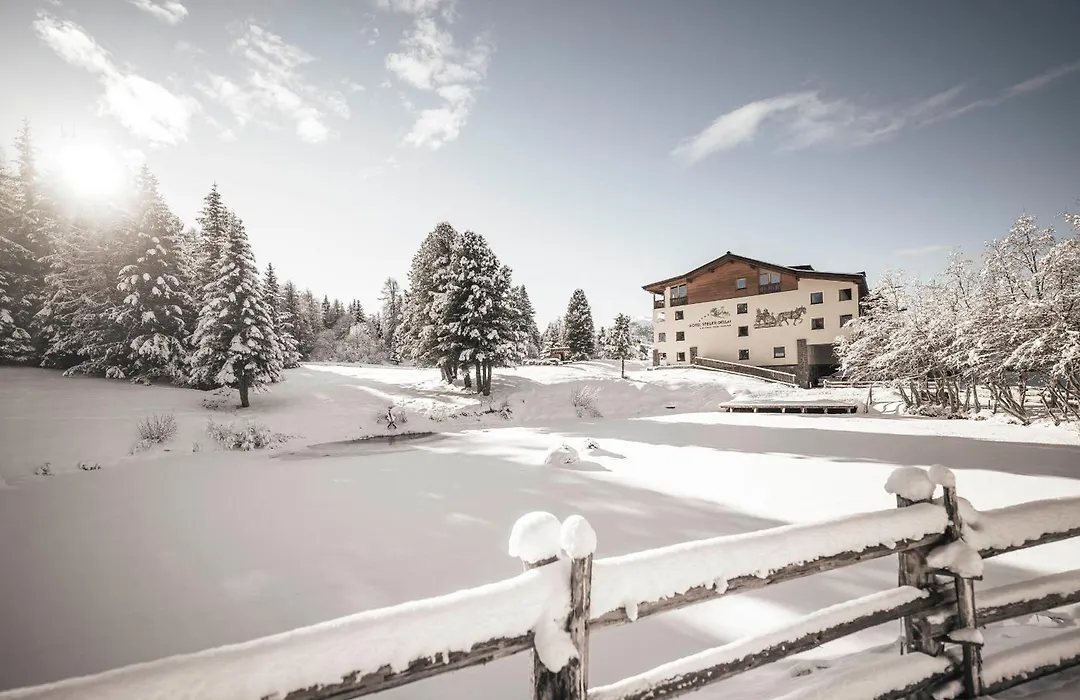 Hotel Steger-Dellai-1