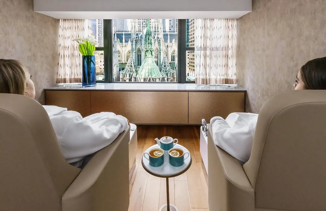 Lotte New York Palace-1
