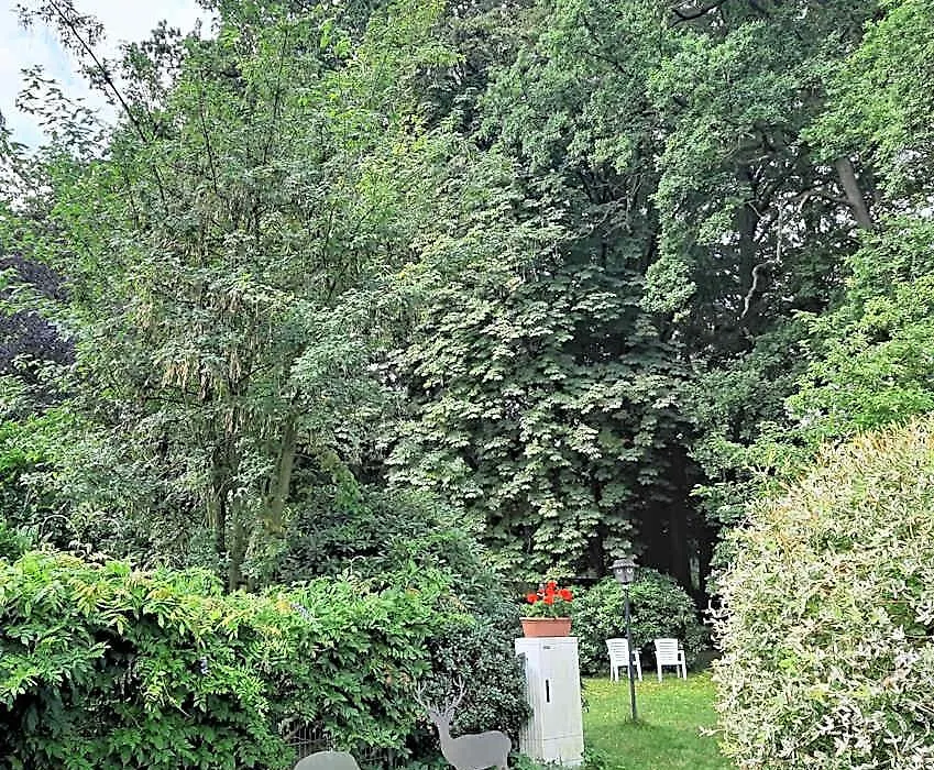 Pension Im Rehwinkel-1