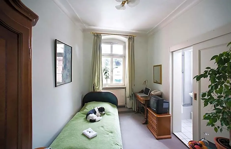 Hotel Goldener Hecht-1