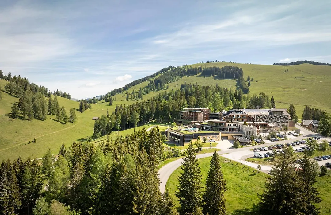Almwellness Hotel Pierer-1