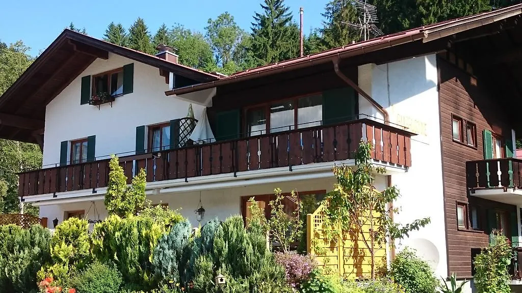 Allgäu Sonne-1