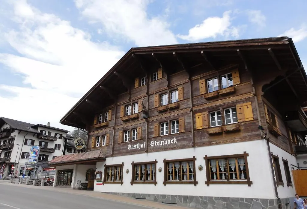 Hotel Steinbock-1