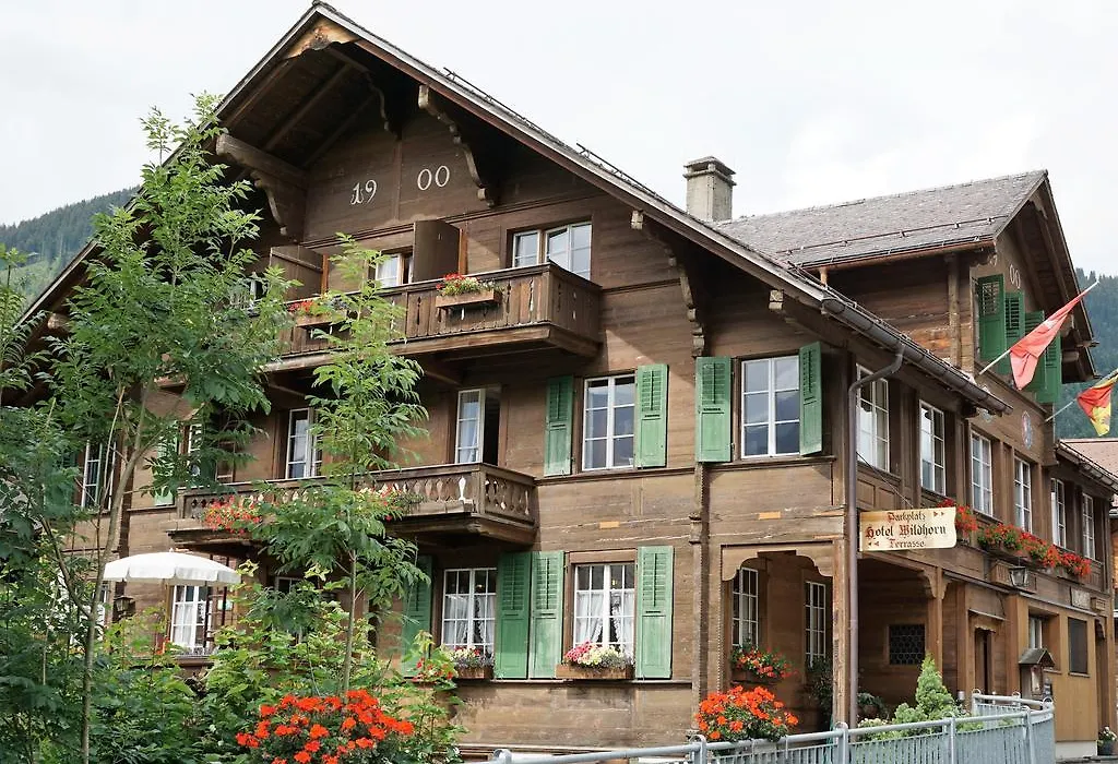 Hotel Wildhorn-1