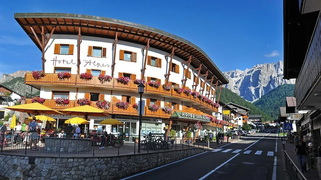 Hotel Des Alpes-1