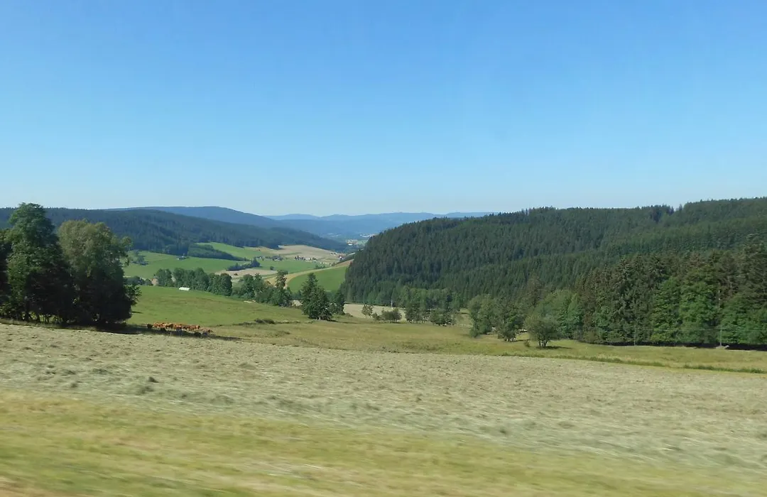 Schwarzwaldgasthaus Salenhof-1