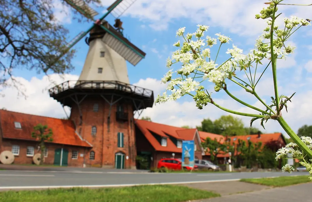 Zur Querensteder Mühle-1