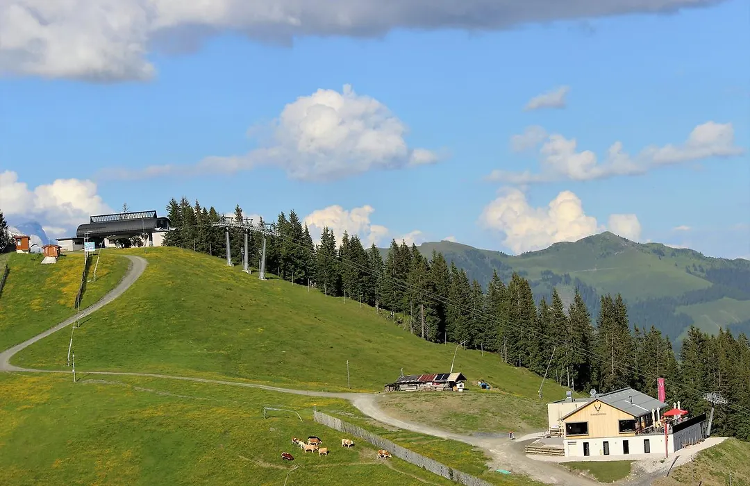 Schmiedhof Alm-1