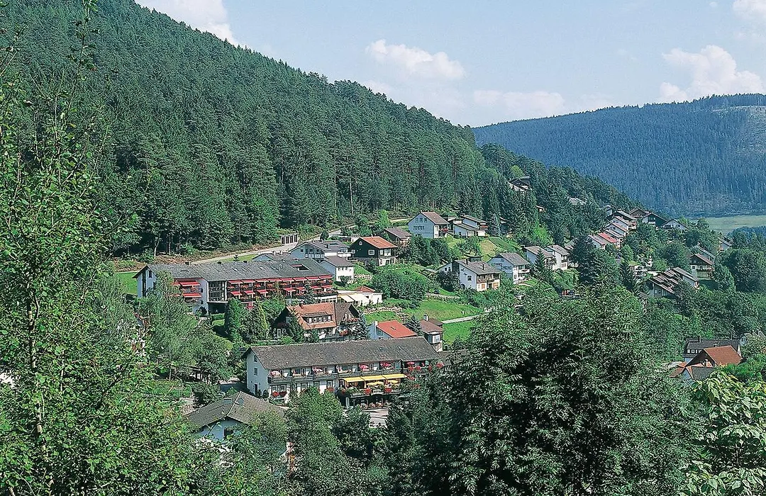Hotel Waldlust-1
