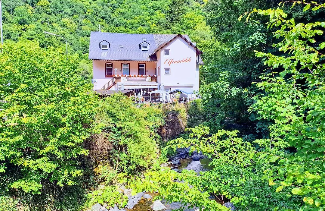 Hotel Elfenmühle-1